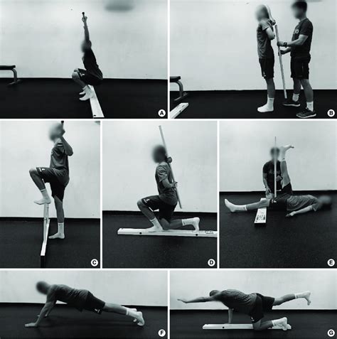 Testing of the Functional Movement Screen. | Download Scientific Diagram