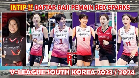 INTIP Daftar Gaji Para Pemain Volly Red Sparks Jung Kwan Jang V