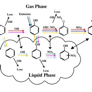 The Relative Importance Of The Different Nitration Pathways At K