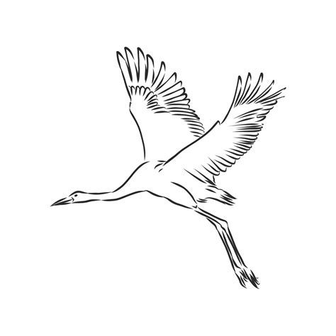 Crane Bird Vector Sketch 8686060 Vector Art At Vecteezy