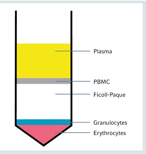 Figure From Faster Isolation Of Pbmc Using Ficoll Paque Plus In The