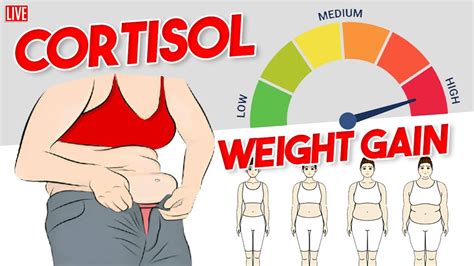 How To Stop Cortisol Weight Gain 🧐 Gauge Girl Training Youtube