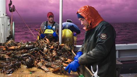 Ulam Main Dish W A Rising Tide Devour The Food Film Fest