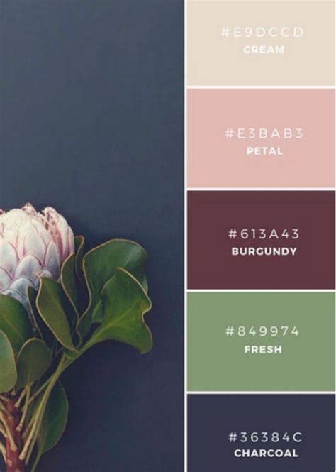 Creme Color Palette Home Design