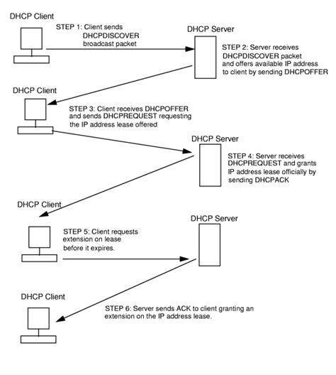 Dhcp Components And Concepts