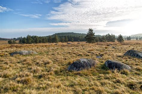 Plateau De Millevaches Tourbi Re Du Longeyroux Plateau D Flickr