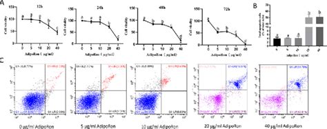 Effect On Granulosa Cell Proliferation And Apoptosis Of The Supplement