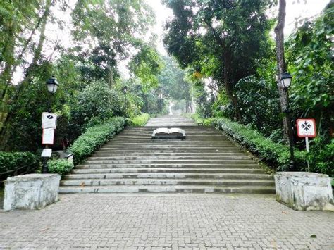 Bukit Batok Nature Park Singapore Updated 2019 All You Need To Know