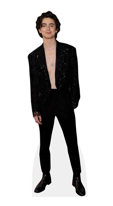 Timothée Chalamet Glitter Cutout