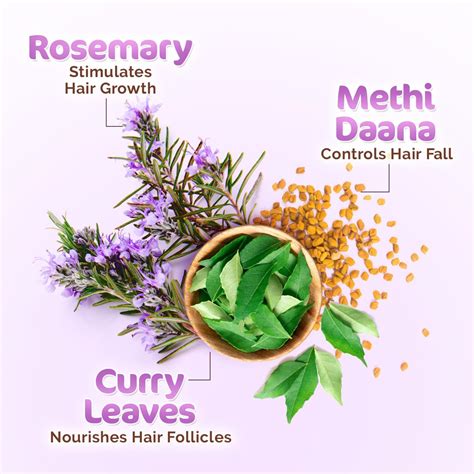 Product Details Mamaearth Rosemary Hair Growth Oil With Rosemary