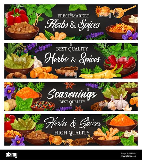 Herbs And Spices Fresh Food Seasoning And Condiment Cartoon Vector