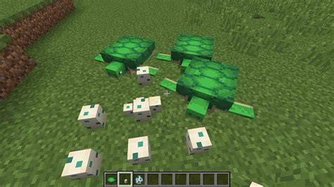 Minecraft Mobs Explored Turtle A Passive Mob That May Be Worth