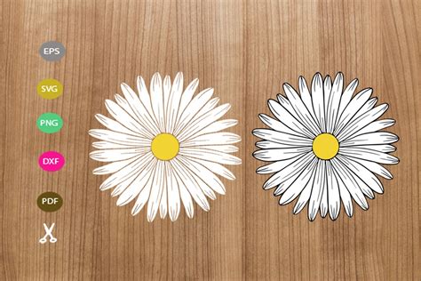 Daisy Svg Flower Svg Spring Flowers Svg Daisy Vector Cricut Silhouette