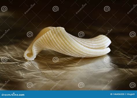 Pasta campanelle stock photo. Image of diet, closeup - 146456320