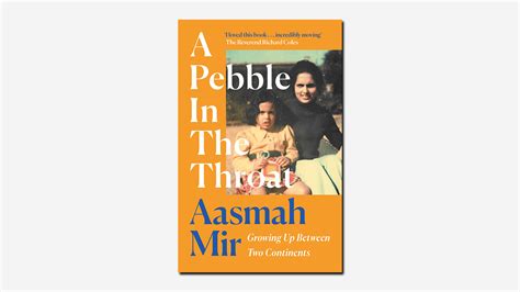 A Pebble In The Throat By Aasmah Mir Book Review The Tls