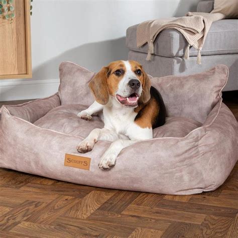Kensington Box Bed Cream Scruffs Chelsea Dogs