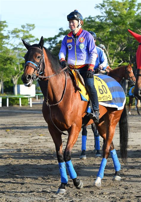 1カ月後に迫る凱旋門賞 日本馬スルーセブンシーズの勝機は？ 競馬ニュース