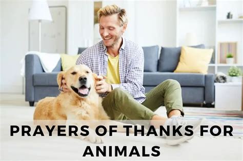 15 Grateful Prayers Of Thanks For Animals Strength In Prayer