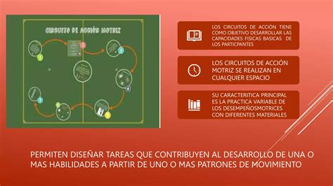 Circuitos De Acci N Motriz Do Pptx