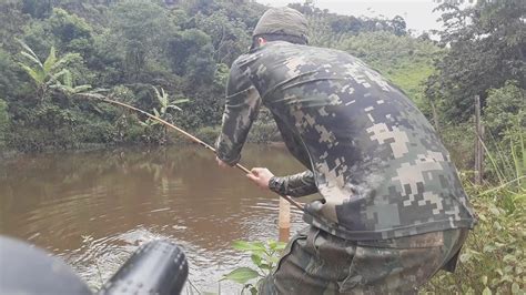 Pescaria Caipira Til Pia Na Varinha De Bambu Youtube