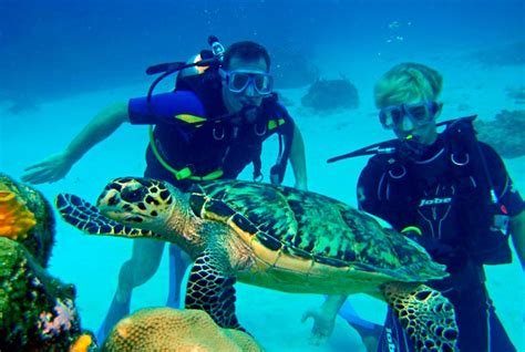 Best Cancun Scuba Diving Tours