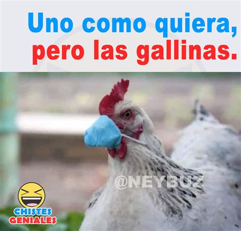 Uno Como Quiera Pero Las Gallinas Chistes Geniales Chistes Gracioso