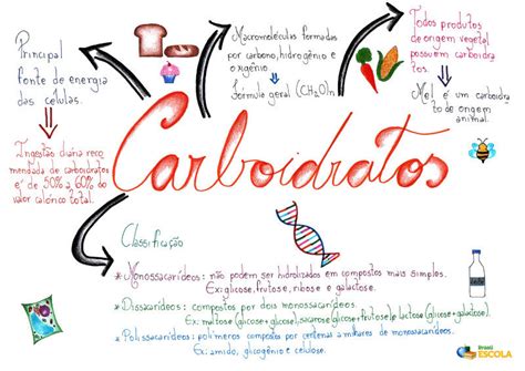 Mapa Conceptual De Macromol Culas