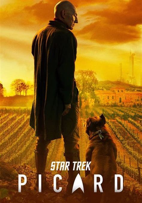 Star Trek Picard Ver La Serie De Tv Online