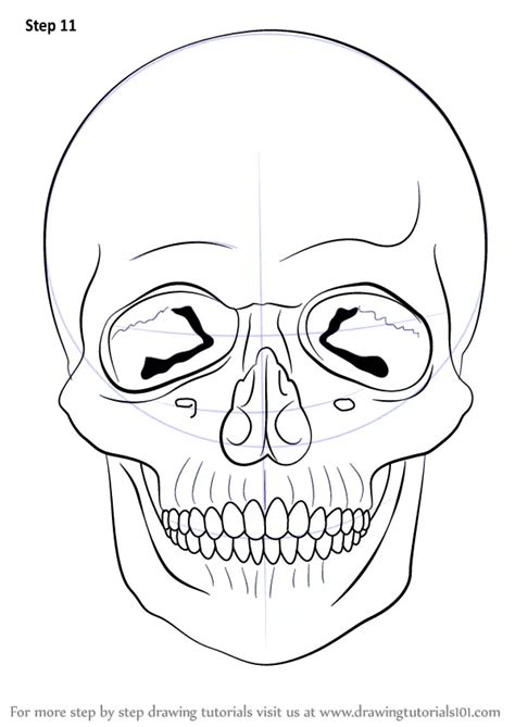 How To Draw A Skull Skulls Step By Step Drawingtutorials