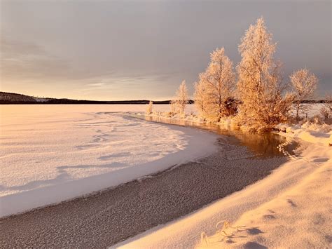 Northern Lights Frozen Lakes And Gastronomic Delights Swedish Lapland