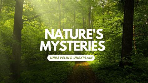 Nature S Mysteries Unraveling Unexplain YouTube