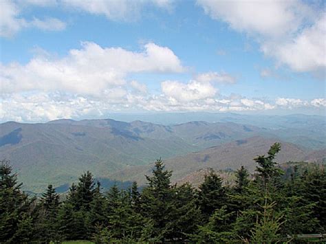 Mount Mitchell State Park A North Carolina Park Located Near Asheville