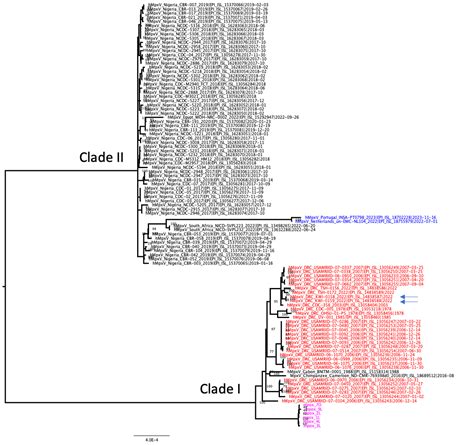 Novel Clade I Genome Sequences From The Ongoing Mpox Virus Outbreak Of