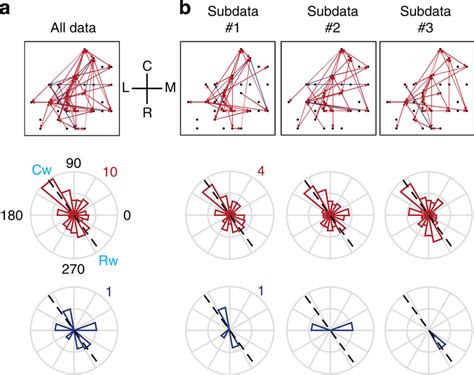 Consistency In Spatial Patterning Of Network Connectivity Across