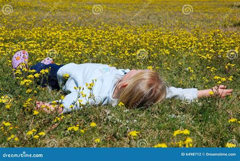 Child Lying In Flower Field Stock Photo Image Of Healthy Girl 6498712