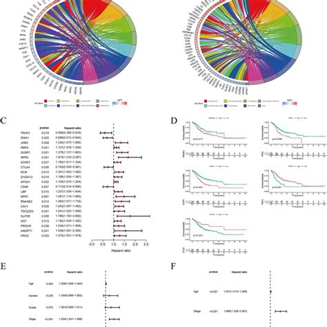 Screening Of Immune Related Prognostic Genes And Development Of Irgpi