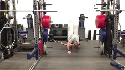 Quadruped Cable T Spine Rotation Youtube