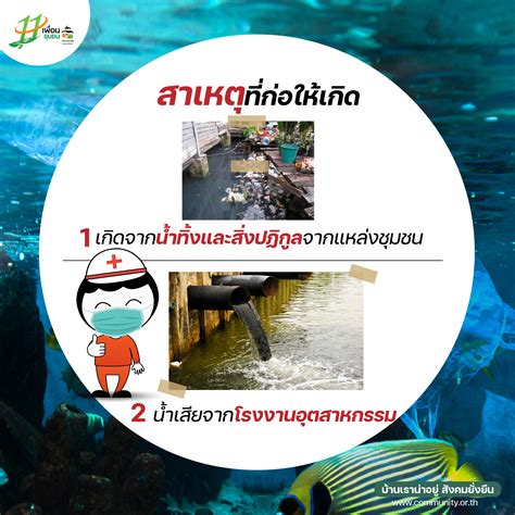 รายการ 102 ภาพ ปัญหา สิ่งแวดล้อม ทาง ทะเล ใหม่ที่สุด