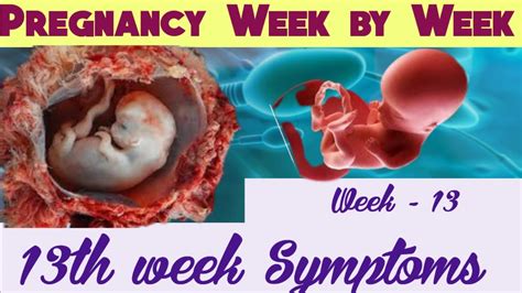 13th Week Symptoms During Pregnancy Pregnancy Week By Week