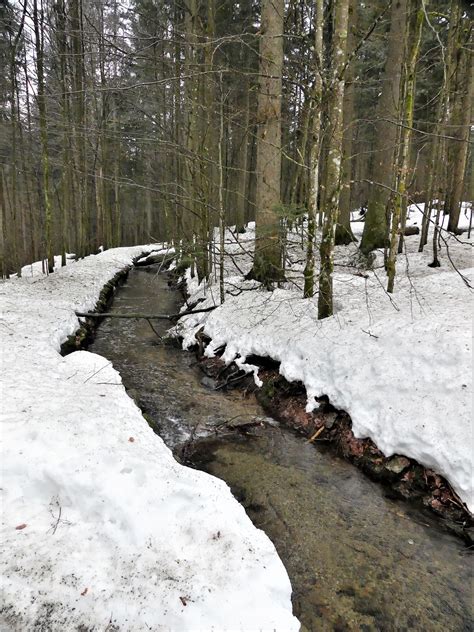 Barrierefreier Urlaub Im Landkreis Regen Outdooractive