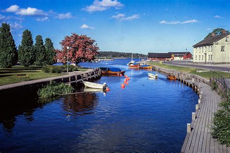 Det vackra trädet vid hamnen Englunds Fotoarkiv