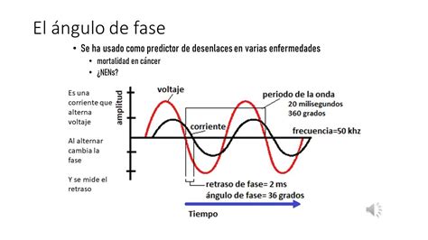 Bioimpedancia Electrica YouTube