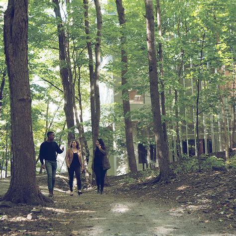 Feu vert à un projet de rehaussement de la biodiversité à HEC Montréal