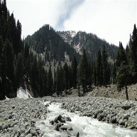 Kashmir With Sonmarg And Doodhpathri Excursion Gct