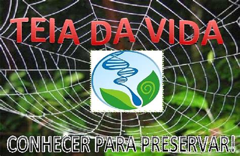 Teia Da Vida Conhecer Para Preservar Curiosidades Riset