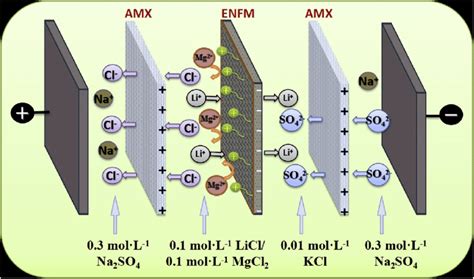 The Schematic Diagram Of The ED Stack For Ion Separation Evaluation