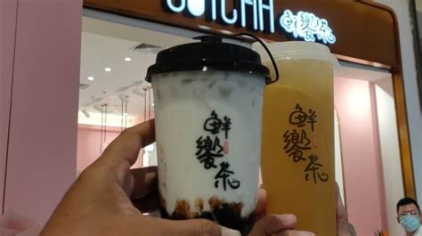 Asyik Brand Boba Australia Gotcha Fresh Tea Hadir Di Jakarta Dan Medan