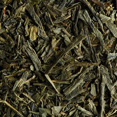 Tè Verde BIO Sencha 24 Bustine Termosigillate