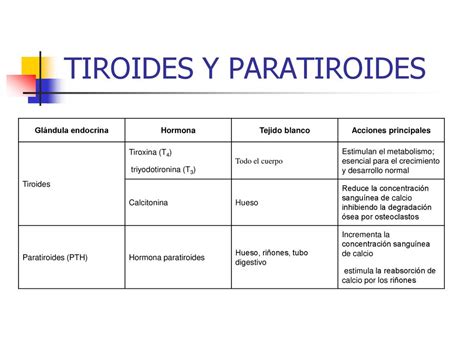 Sistema Endocrino Ppt Descargar