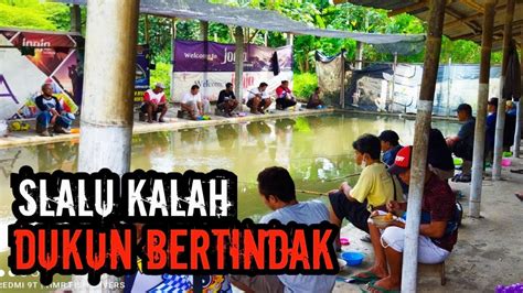 Mancing Ikan Mas Dukun Bertindak Youtube